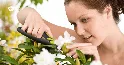 Bộ dụng cụ cắm hoa cần có cho người mới bắt đầu và shop hoa 