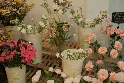 Foam cắm hoa Oasis — Hướng dẫn sử dụng đúng cách từ A-Z cho florist & chủ shop hoa