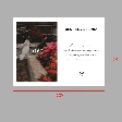 Bộ sưu tập thiệp hoa Postcard Love Flora 9 x 12 - (túi 20 chiếc) ảnh 29