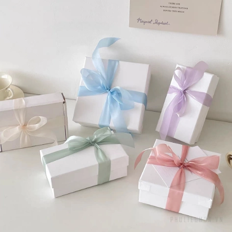 Ruy băng lụa lưới xuyên thấu, mỏng nhẹ mềm mại 2,5cm x 20yard ảnh 2