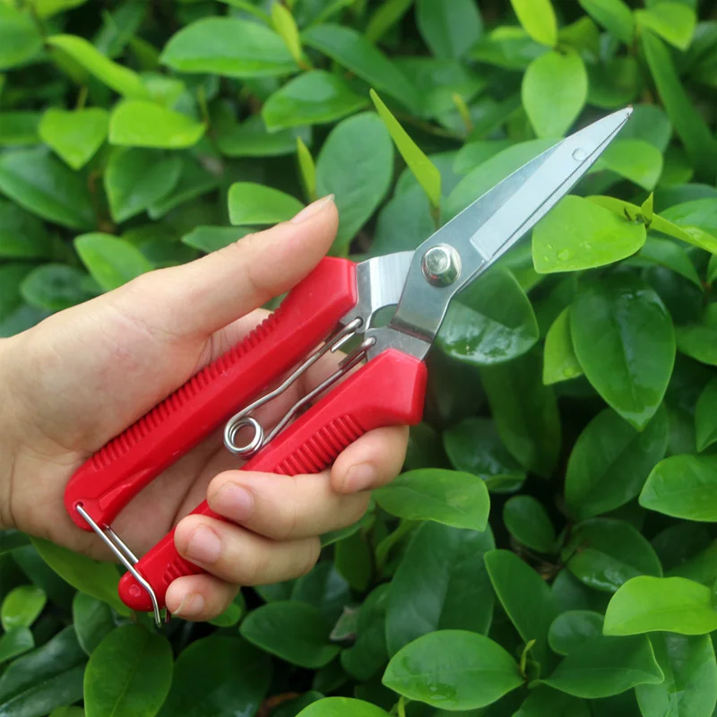 Bộ dụng cụ kéo và kìm cắt cành hoa, sơ chế hoa và làm vườn đa năng  ảnh 13