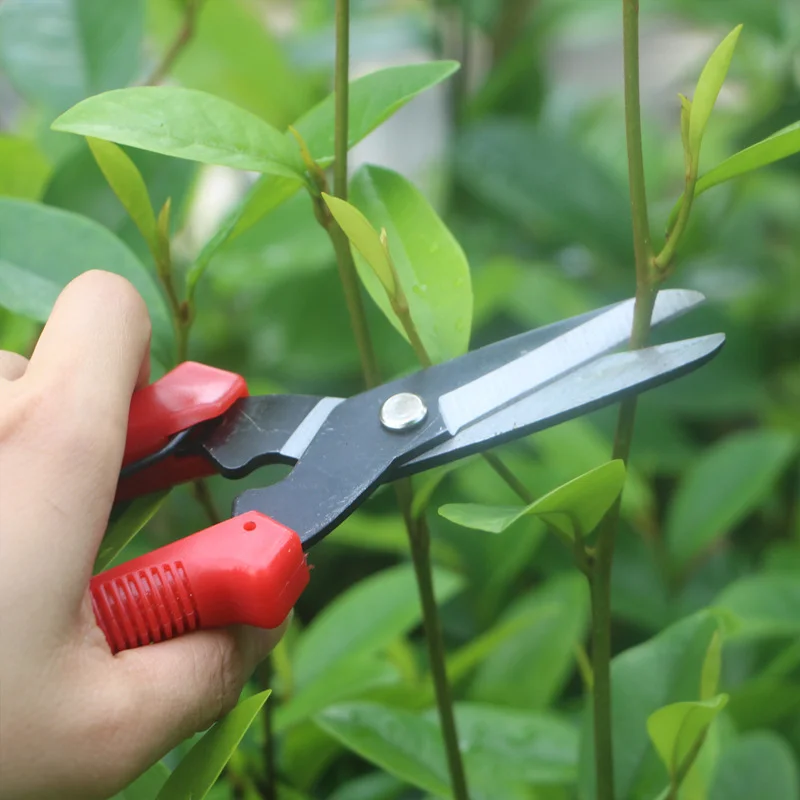 Bộ dụng cụ kéo và kìm cắt cành hoa, sơ chế hoa và làm vườn đa năng  ảnh 12