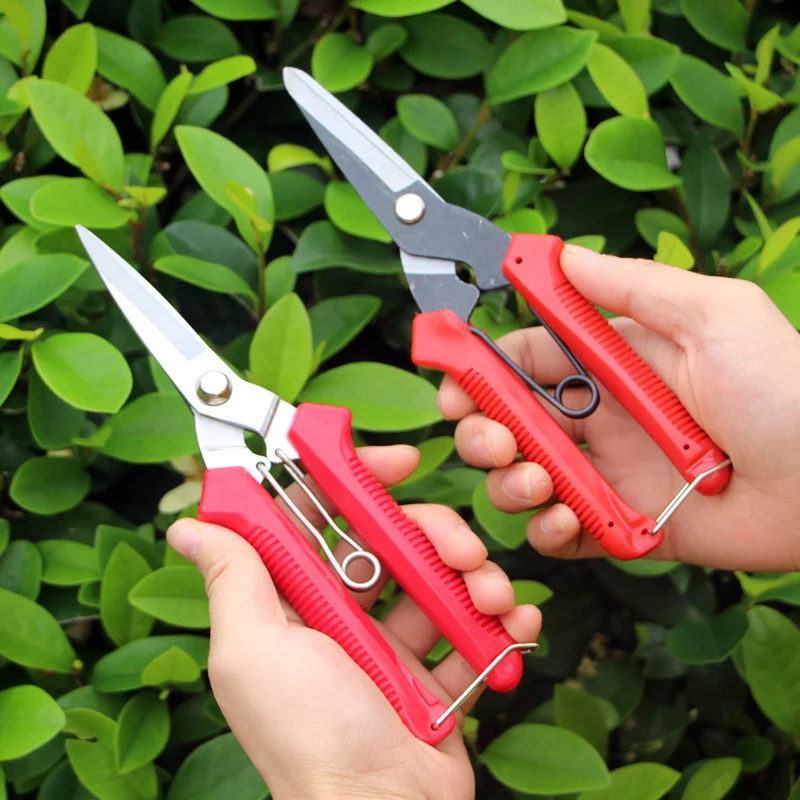 Bộ dụng cụ kéo và kìm cắt cành hoa, sơ chế hoa và làm vườn đa năng  ảnh 5