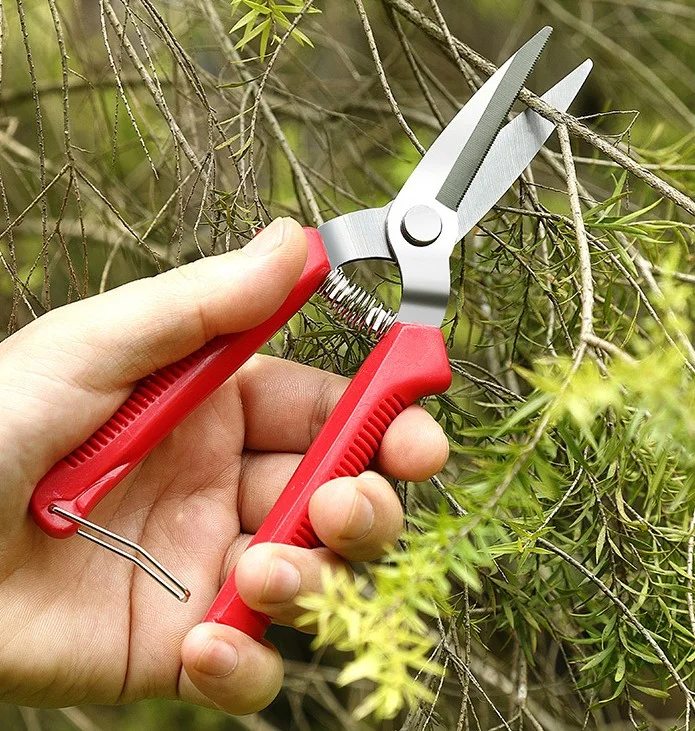 Bộ dụng cụ kéo và kìm cắt cành hoa, sơ chế hoa và làm vườn đa năng  ảnh 9
