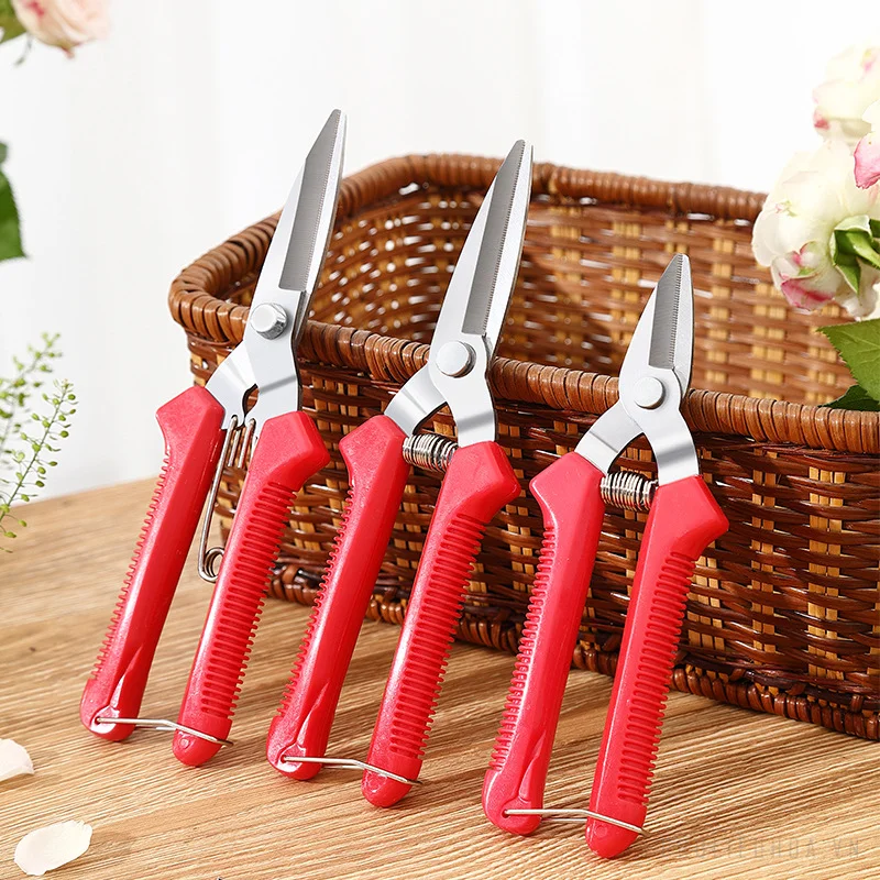 Bộ dụng cụ kéo và kìm cắt cành hoa, sơ chế hoa và làm vườn đa năng  ảnh 16