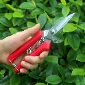 Bộ dụng cụ kéo và kìm cắt cành hoa, sơ chế hoa và làm vườn đa năng  ảnh 13