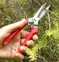 Bộ dụng cụ kéo và kìm cắt cành hoa, sơ chế hoa và làm vườn đa năng  ảnh 9
