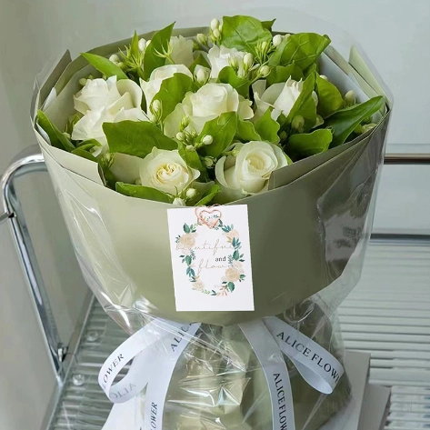 Hộp combo 24 kẹp thiệp mạ nhôm  ảnh 5