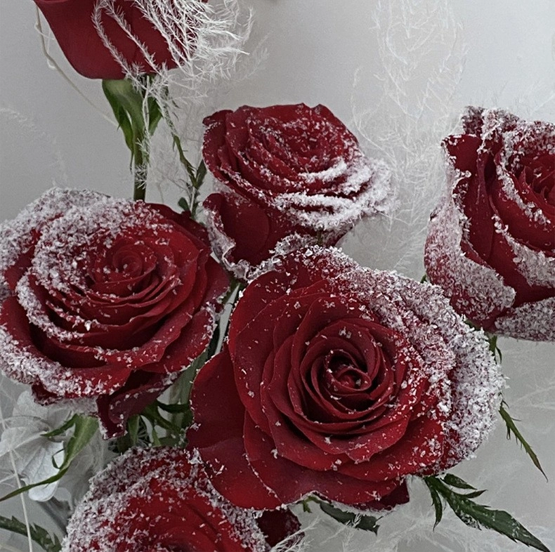 Chai keo xịt dán đa năng Spray Mount XIUPIN 75 550ml ảnh 8