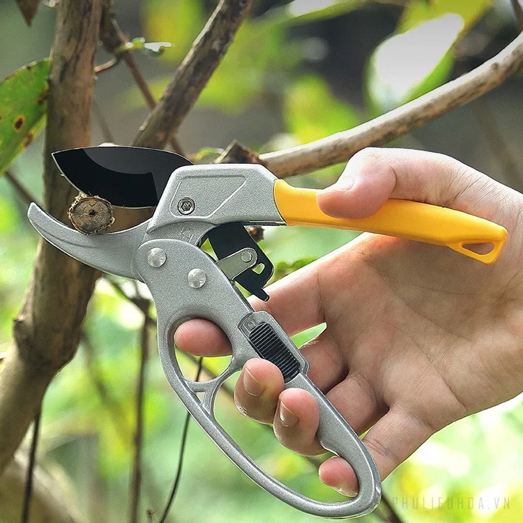 Kìm bấm trợ trực cắt tỉa cành, làm vườn SK-5 
 ảnh 17