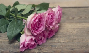 Ngoài hoa hồng còn có hơn 9 loại hoa hoàn hảo cho lễ tình nhân