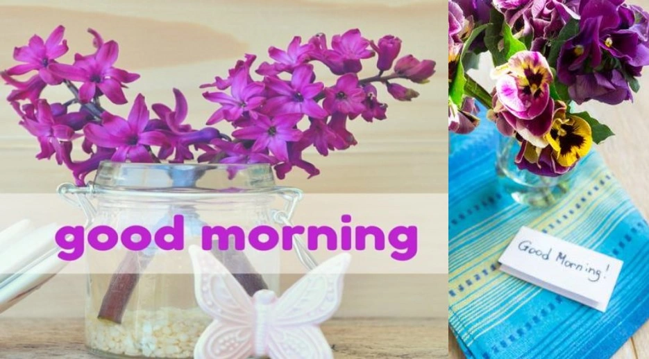 Ảnh bài viết 5 lý do nên chào buổi sáng bằng hoa để truyền tải thông điệp tốt đẹp