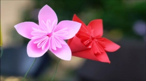 Cách xếp hoa anh đào xinh xắn bằng giấy Origami