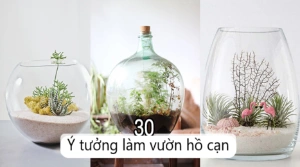 Chia sẻ 30 ý tưởng làm chậu cây cạn tuyệt đẹp để trang trí cho ngôi nhà của bạn
