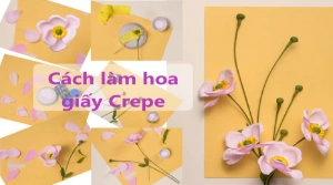 Cách làm hoa siêu đẹp bằng giấy thủ công Crepe