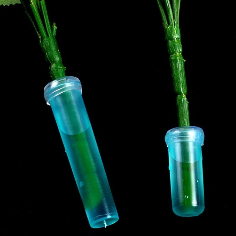 Ống nước chuyên dụng giữ hoa tươi lâu ( ống nước cắm Lan) ảnh 9