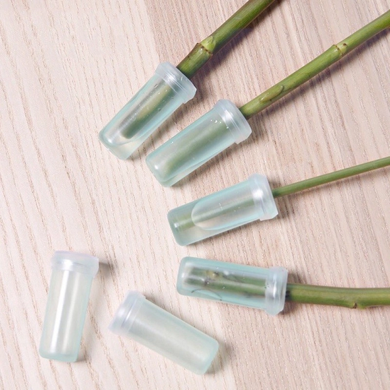Ống nước chuyên dụng giữ hoa tươi lâu ( ống nước cắm Lan) ảnh 2