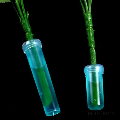Ống nước chuyên dụng giữ hoa tươi lâu ( ống nước cắm Lan) ảnh 9