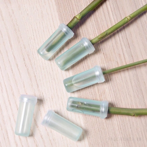 Ống nước chuyên dụng giữ hoa tươi lâu ( ống nước cắm Lan) ảnh 2