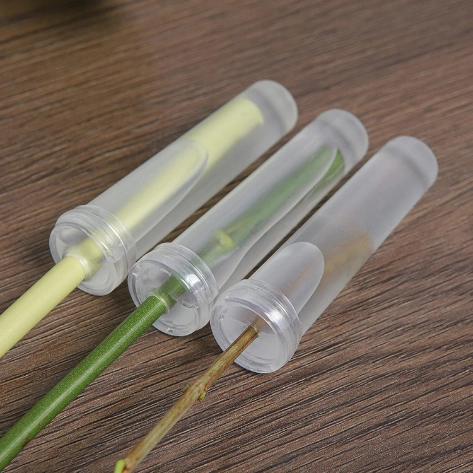 Ống nước chuyên dụng giữ hoa tươi lâu ( ống nước cắm Lan) ảnh 12