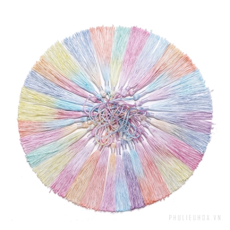 Tua rua trang trí màu Pastel Set 10 cái
ảnh 2
