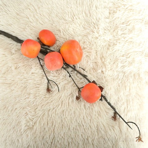 Cành quả hồng giả  ảnh 17