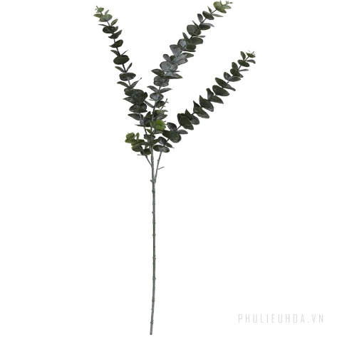 Lá khuynh diệp khô Eucalyptus hoa giả ảnh 25