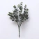 Lá khuynh diệp khô Eucalyptus hoa giả ảnh 13