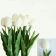Hoa tulip giả nhiều màu ảnh 12