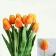 Hoa tulip giả nhiều màu ảnh 13