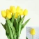 Hoa tulip giả nhiều màu ảnh 14