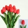 Hoa tulip giả nhiều màu ảnh 16