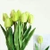 Hoa tulip giả nhiều màu ảnh 19