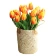 Hoa tulip giả nhiều màu ảnh 11