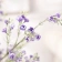 Cành hoa baby gypsophila nhân tạo  ảnh 10