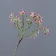 Cành hoa baby gypsophila nhân tạo  ảnh 30