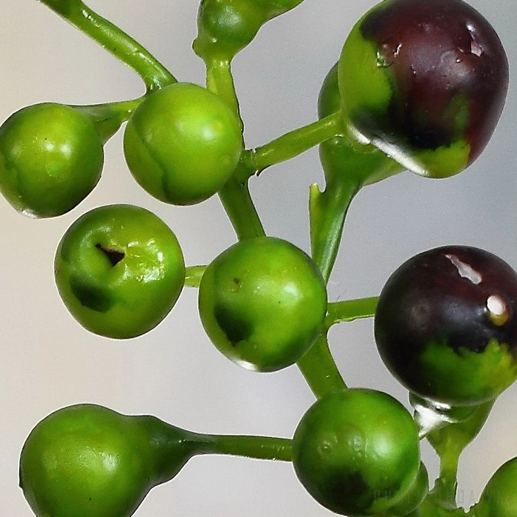 Chùm quả mọng việt quất berry nhân tạo nhiễu mẫu ảnh 7