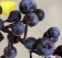 Chùm quả mọng việt quất berry nhân tạo nhiễu mẫu ảnh 3
