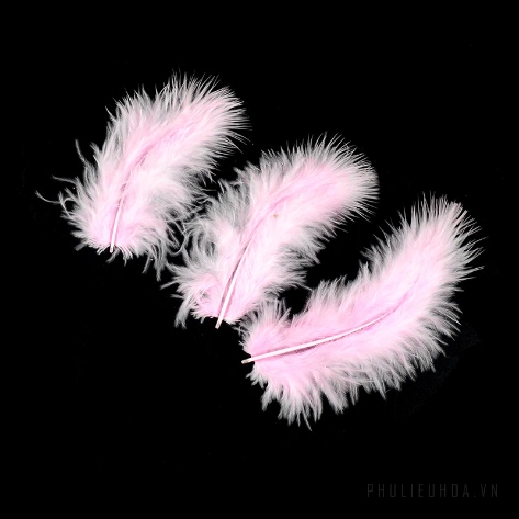 Túi lông vũ Feathers 7 - 10 cm ảnh 6