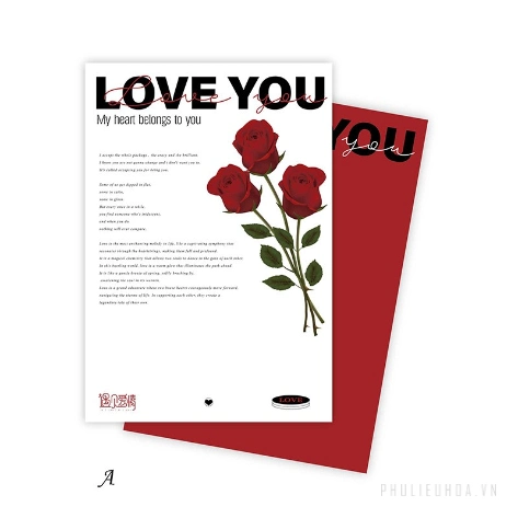 Giấy lót họa tiết hoa hồng đỏ xấp 10 tờ 35x50 Valentine's Day ảnh 7
