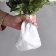 Bông gòn bọc gốc hoa, giữ ẩm Batuni và Kotton Care  ảnh 5